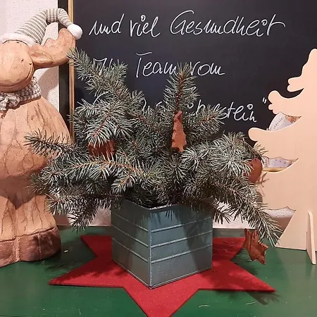 Gasthaus&pension Zirkelstein * Schöna