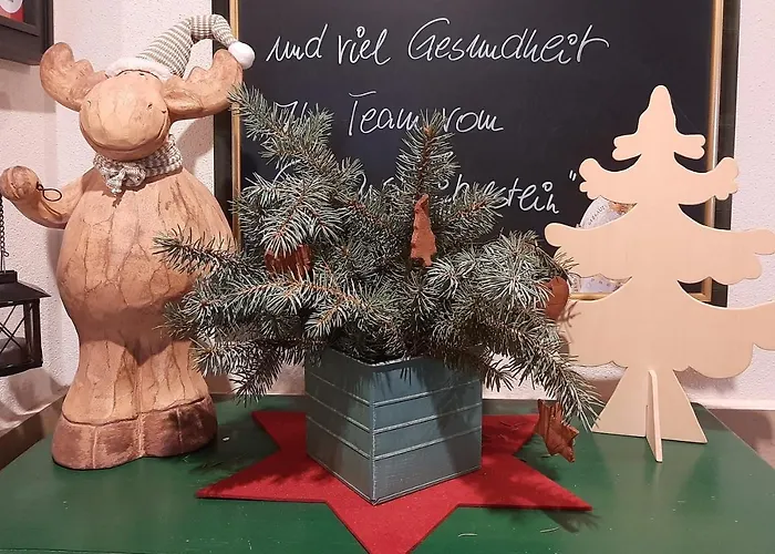 & Zirkelstein * Schona